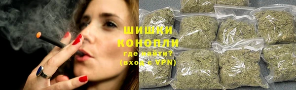 ГАЛЛЮЦИНОГЕННЫЕ ГРИБЫ Баксан