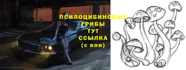 ГАЛЛЮЦИНОГЕННЫЕ ГРИБЫ Баксан