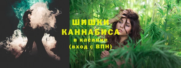 ГАЛЛЮЦИНОГЕННЫЕ ГРИБЫ Баксан